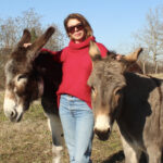 Une femme vêtue d'un pull à col roulé rouge Pull Mousse col boule taille unique en kid-mohair et soie naturelle et de lunettes de soleil se tient à l'extérieur souriante entre deux ânes sympathiques par une journée ensoleillée.