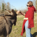 Une femme portant des lunettes de soleil et une écharpe principale en tricot Etole capuche en pur mohair de chevreau nourrissant un âne lors d'une journée ensoleillée à l'extérieur.